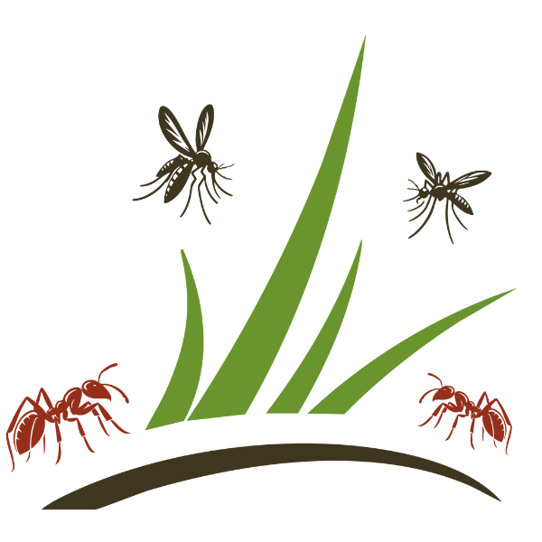 The Grass and Mosquito in the logo 